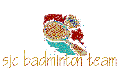 our badminton site logo...nice??